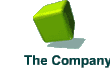 The Company